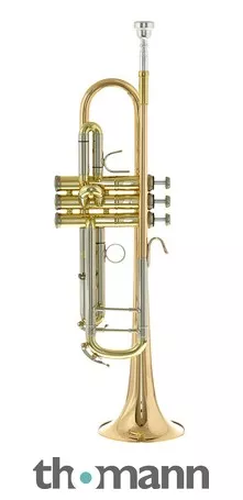 B&S 3143/2GLB-L Challenger II GM
