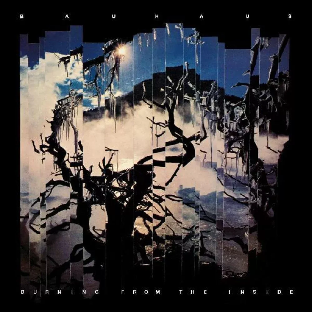 Bauhaus - Burning From The Inside [Import]