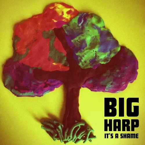 Big Harp: It's a Shame - 7-INCH SINGLE