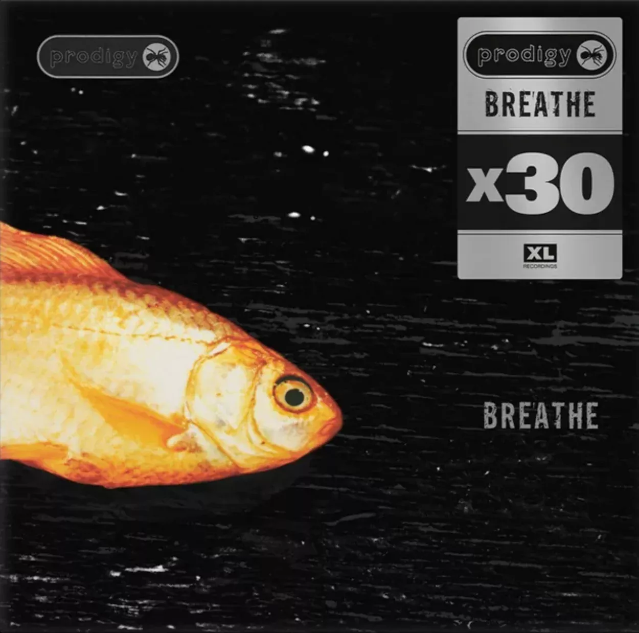 Breathe x30 Vinyl 12" - PRE-ORDER
