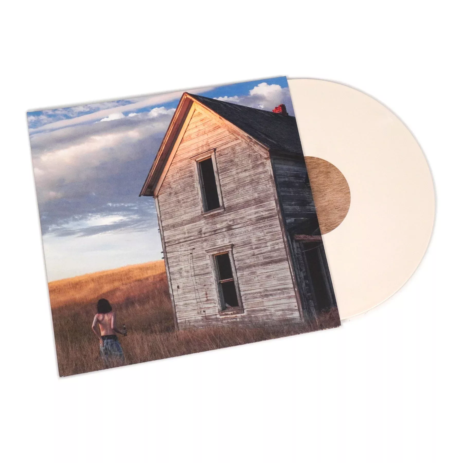 Census Designated (Colored Vinyl) Vinyl 2LP