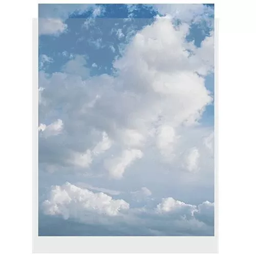 ClearFile Print Protector (13 x 19", 10-Pack)