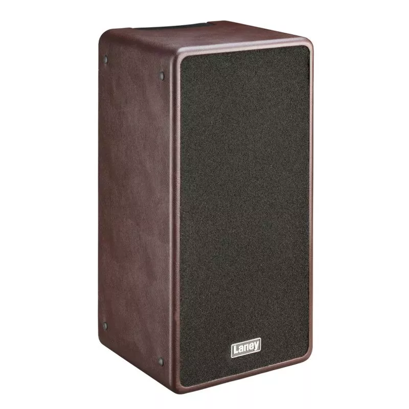 Laney Acoustic Combo Amp 2x8 2 Channel A-DUO