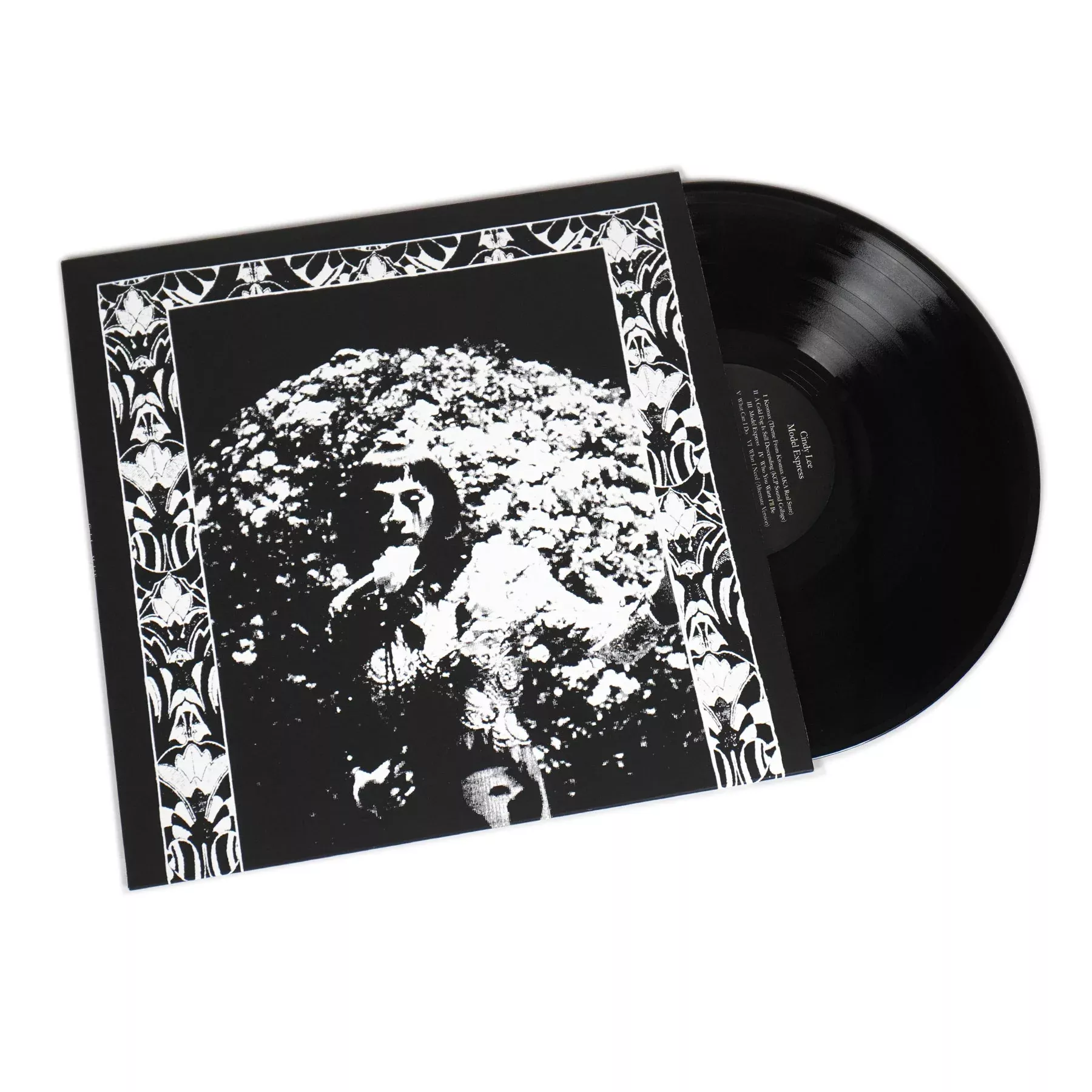 Model Express Vinyl LP
