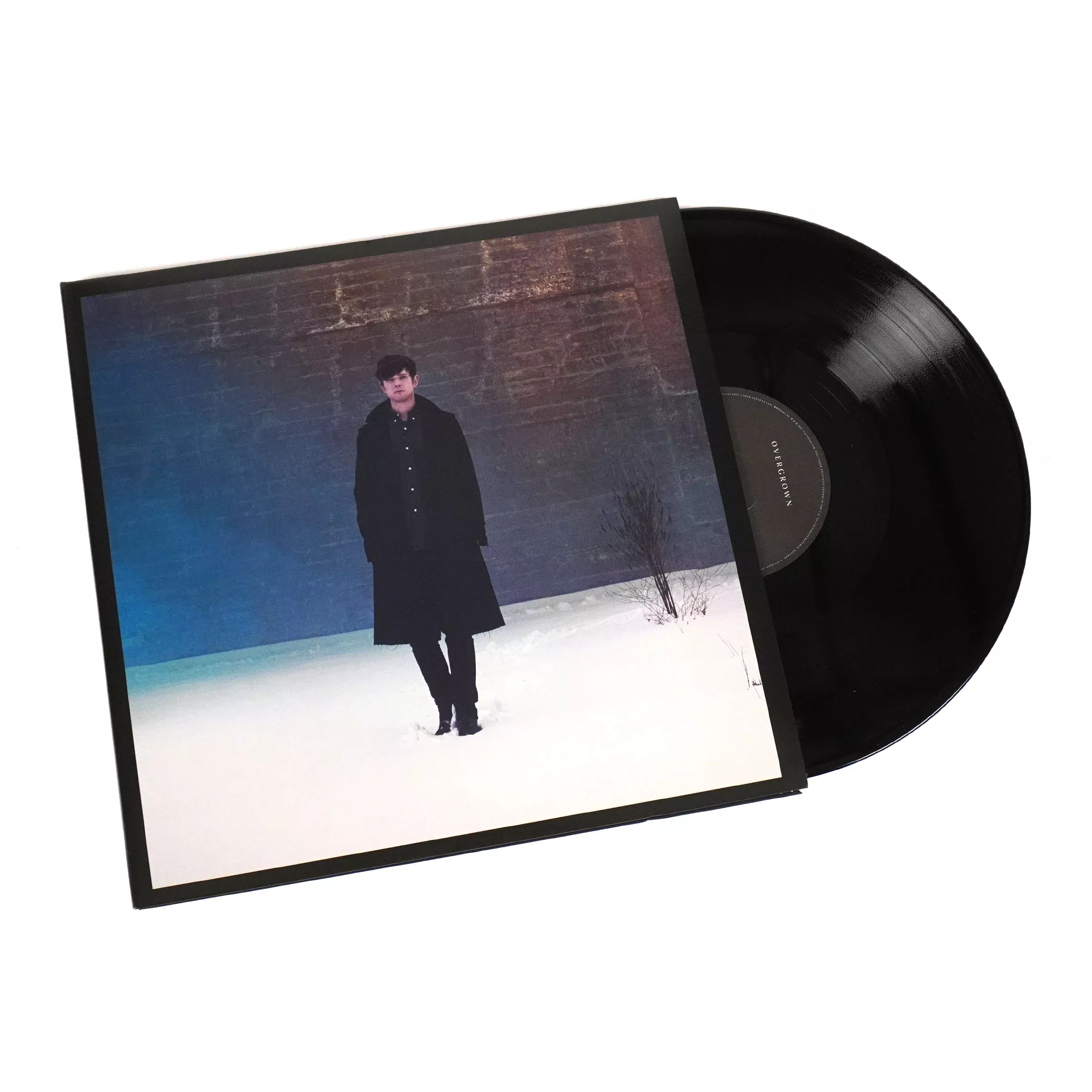 Overgrown (180g) Vinyl 2LP