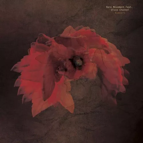 Rare Movement: Numbers - 12-INCH SINGLE